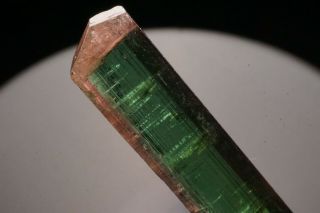 Bi - Color Tourmaline Crystal CRUZEIRO,  BRAZIL 7