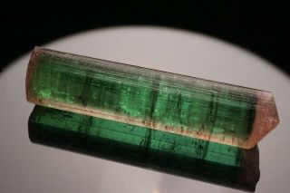 Bi - Color Tourmaline Crystal CRUZEIRO,  BRAZIL 8