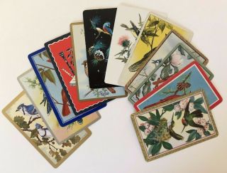 12 Vintage Playing Cards Summer Various Birds All Different