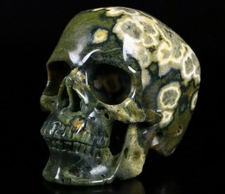 Huge 5.  0 " Ocean Jasper Carved Crystal Skull,  Realistic,  Healing
