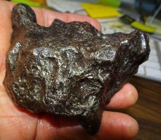 712 Gm.  Campo Del Cielo Meteorite ; 1.  6,  Pounds Low Museum Grade