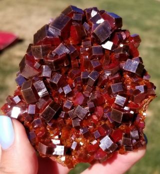 Lqqk Large Dark Fire Red Vanadinite Crystals On Matrix From Morocco
