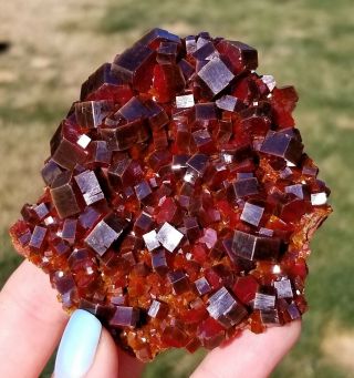 LQQK Large Dark Fire Red Vanadinite Crystals on Matrix From Morocco 4