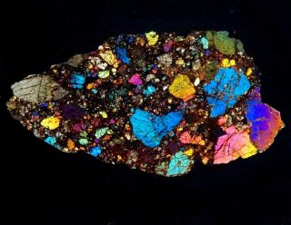 Meteorite Nwa 7474 - Achondrite Lodranite - Thin Section Microscope Slide Rare