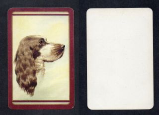 800.  1156 Vintage Coles Swap Card - Near - Dog,  Spaniel