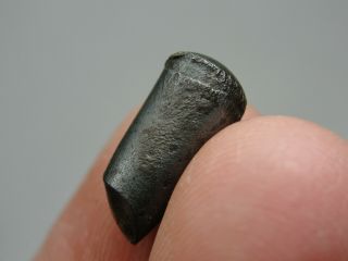 Meteorite - Sikhote - Alin - Iron - IIAB - SA - 1594 - 2.  88g - COA/Observed Fall 1947 3