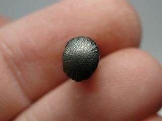 Meteorite - Sikhote - Alin - Iron - IIAB - SA - 1594 - 2.  88g - COA/Observed Fall 1947 8