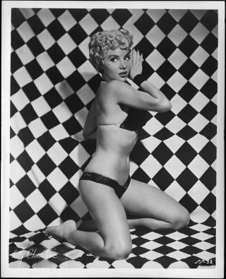 Burlesque Superstar Lilly Christine 1950s Vintage Pin - Up Photograph The Cat Girl