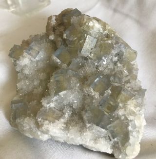 Pale Yellow Blue Phantom Fluorite On Barite Minerva Mine Hardin Co.  Illinois
