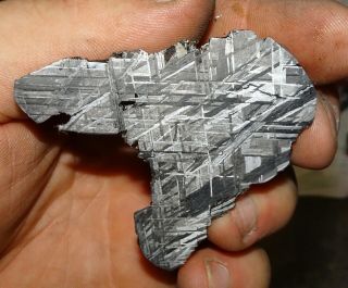 90 Gm.  Muonionalusta Etched Meteorite End Cut