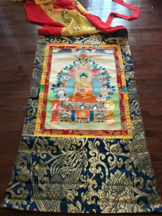 Huge Hand Painted Tibetan Buddhist Shakya Muni Buddha Thangka W/ Silk Cover