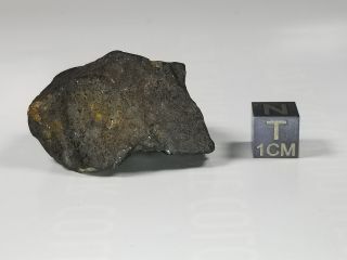 Chergach H5 Mali Fell July 2 Or 3,  2007 Whole Stone 40.  33 Grams