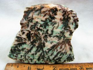 Dendritic Rhyolite From Morocco Face Cut For Cabbing And Polishing