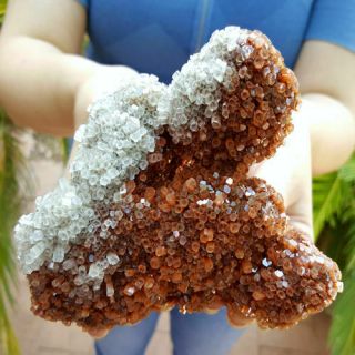 Very Fine World Class 5 1/4 Inch Bi Color Aragonite Crystal Cluster
