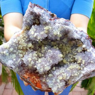 Spectacular Rare 7 Inch Yellow Botryoidal Fluorite On Amethyst Crystals