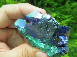 Azurite Crystal Specimen From Milpillas Mine In Sonora Mexico.  Az 4