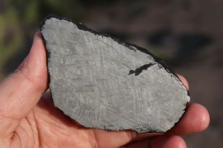 Muonionalusta Meteorite Etched Full Slice 102.  8 Grams