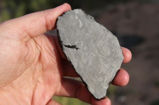 Muonionalusta meteorite etched full slice 102.  8 grams 2