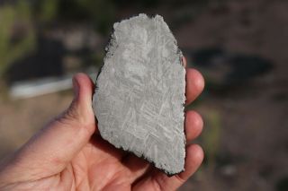 Muonionalusta meteorite etched full slice 102.  8 grams 3