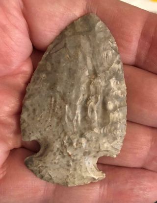 Hopewell Arrowhead Authenticated And Graded As A " 9 " By Jackson Galleries