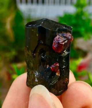 Wow 124 C.  T Top Quality Damage Terminated Red Garnet On Tourmaline Crystal