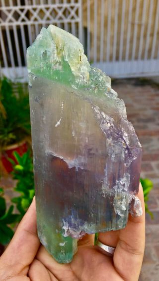 548 Gram Top Quality Terminated Bi Color Kunzite Crystal @Afghanistan 5