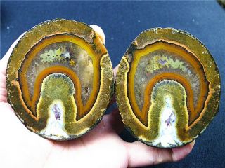 Rough (unpolished) Agate / Achat Nodule Specimen Xuanhua Hebei China.  Very Rare