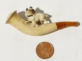 Antique Pug Type Dog Carved Meerschaum Cheroot Pipe a/f Amber Stem 2