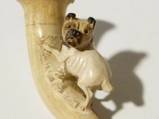 Antique Pug Type Dog Carved Meerschaum Cheroot Pipe a/f Amber Stem 6