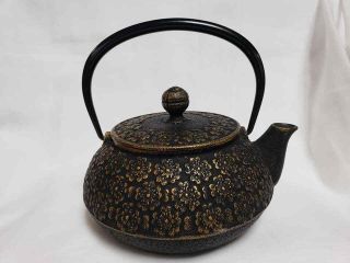 Traditional Cast Iron Japanese Teapot