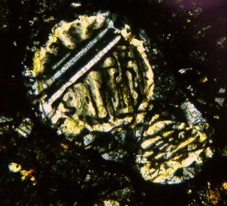 Meteorite NWA 12577 - L4 Chondrite Thin Section - Microscope slide 3