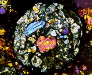 Meteorite NWA 12577 - L4 Chondrite Thin Section - Microscope slide 4