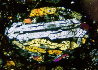 Meteorite NWA 12577 - L4 Chondrite Thin Section - Microscope slide 8