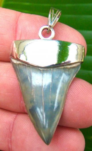 Mako Shark Tooth Necklace Pendant 1 & 9/16 In.  Sterling Silver