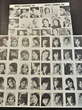 David Cassidy Partridge Family Fan Club Packet Poster Photos Stickers Star List 4