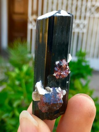Wow 213 C.  T Top Quality Damage Terminated Tourmaline On Red Garnet Crystal