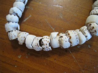 2 Vintage Puka Shell Brown & White Tiger Stripe Necklaces Hawaii 2