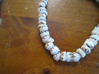 2 Vintage Puka Shell Brown & White Tiger Stripe Necklaces Hawaii 3