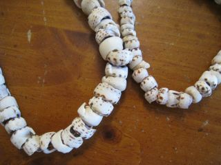 2 Vintage Puka Shell Brown & White Tiger Stripe Necklaces Hawaii 4