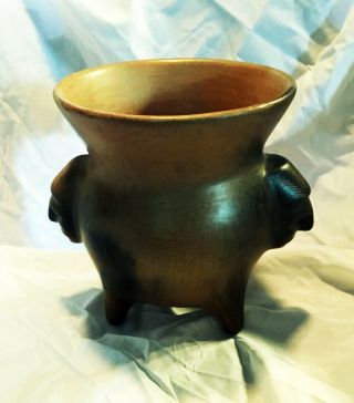 Catawba Indian Pottery King Hagler Effigy Pot by Earl Robbins 3