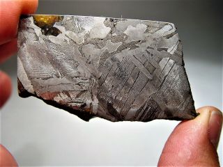 Seymchan Pallasite Meteorite W/ Olivine Crystal 61.  8 Gms