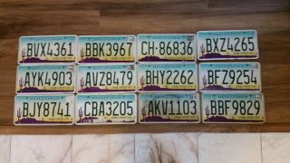 License Plate,  Arizona,  Bulk,  Art Quality,  12 Plates