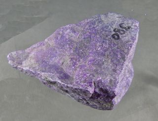dkd 55N/ 379.  5grams Purple Sugilite rough 7