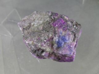 dkd 36N/ 225.  9grams Purple Sugilite hints of Richterite rough 3