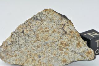 Meteorite Vinales,  Chondrite L6,  Fell On Cuba,  Feb.  1,  2019.  8.  64 G Slice