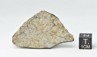 Meteorite Vinales,  Chondrite L6,  fell on Cuba,  Feb.  1,  2019.  8.  64 g slice 2
