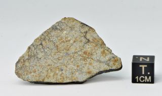 Meteorite Vinales,  Chondrite L6,  fell on Cuba,  Feb.  1,  2019.  8.  64 g slice 3