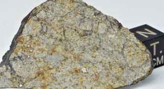 Meteorite Vinales,  Chondrite L6,  fell on Cuba,  Feb.  1,  2019.  8.  64 g slice 4