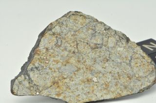 Meteorite Vinales,  Chondrite L6,  fell on Cuba,  Feb.  1,  2019.  8.  64 g slice 5