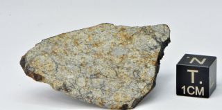 Meteorite Vinales,  Chondrite L6,  fell on Cuba,  Feb.  1,  2019.  8.  64 g slice 6